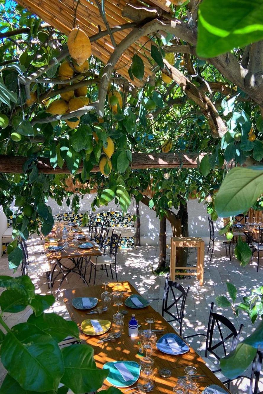 Don Salvatore Resort Monte di Procida Dış mekan fotoğraf